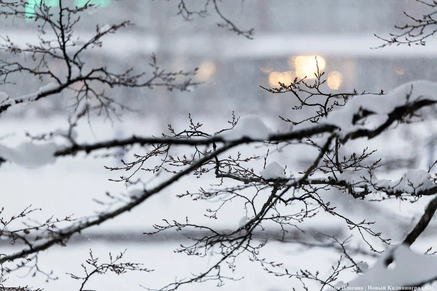 Дождь с образованием гололёда: погода в Калининградской области 13 февраля