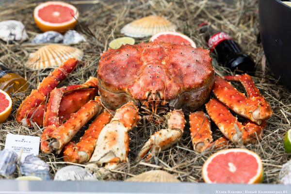 Организаторы «ФИШтиваля» объявили о начале приема заявок на участие в фестивале