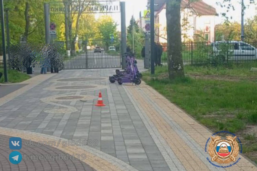 Наездом электросамоката на трёхлетнего жителя Балтийска заинтересовался Бастрыкин (фото)