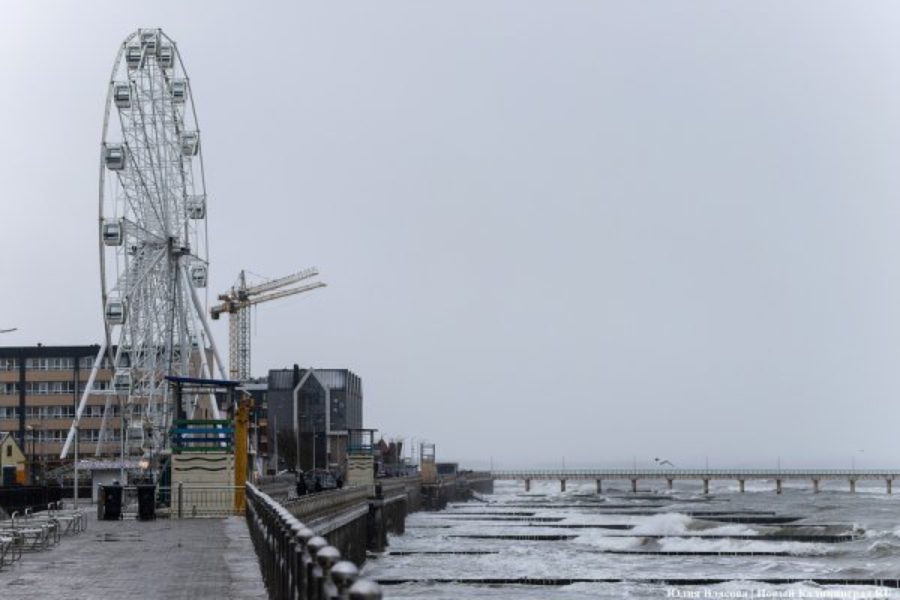 Власти Зеленоградска запретили уличные выступления в центре города (список)