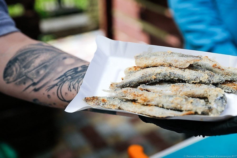 На рыбном фестивале в Зеленоградске проведут «Чемпионат дурацких игр»