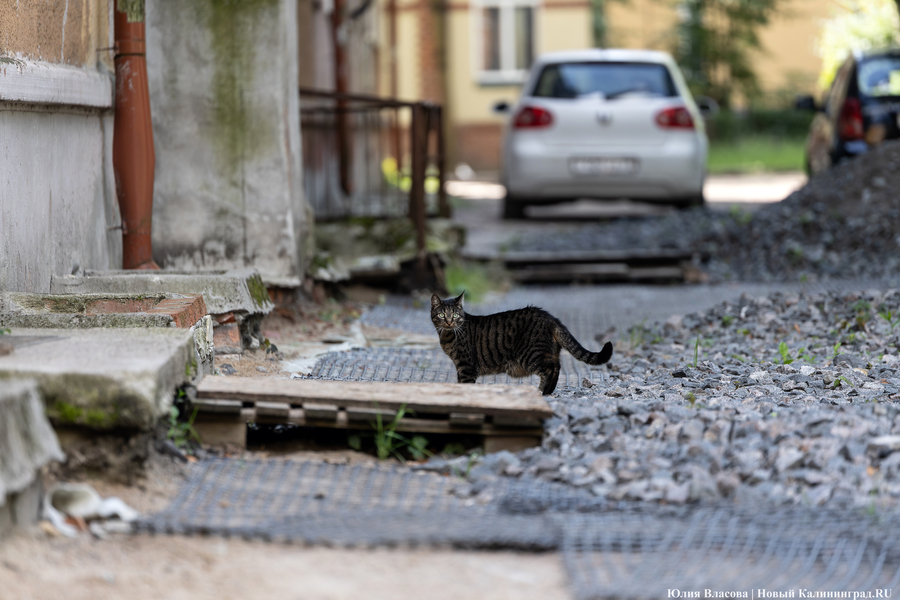 Право на ответ: проектировщик — о причинах затянувшегося ремонта на Пугачева