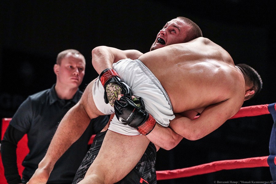 Отец Хабиба привезет пояс чемпиона UFC в Калининград на турнир по боям MMA