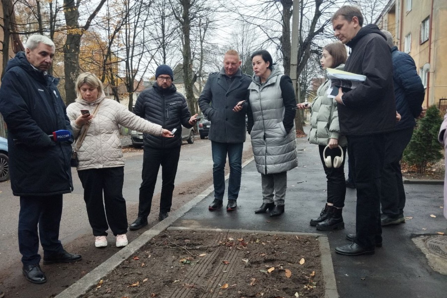 Власти сообщили о продолжении осенней высадки деревьев сверх плана (фото)