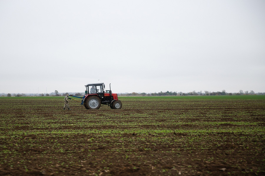 Власти намерены потратить на поддержку сельского хозяйства в регионе 3,4 млрд руб.