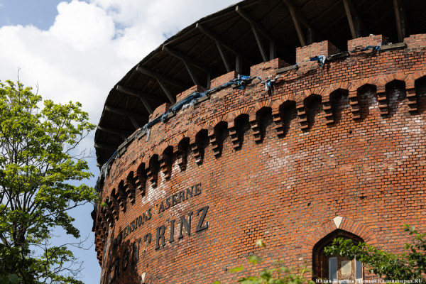 На пути в Закхайм: долг Мюнхгаузена и привет из Египта 