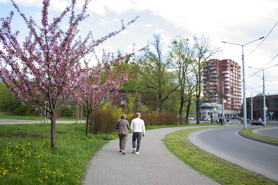 В Калининградской области стартовало голосование за объекты благоустройства