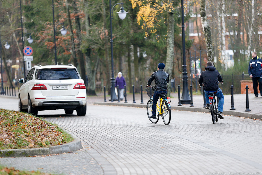 «Не видится и не читается»: в течение месяца на велодорожки должны нанести разметку
