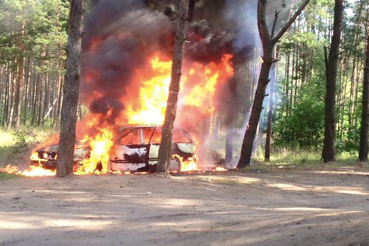 Под Калининградом дотла сгорел автомобиль (фото)