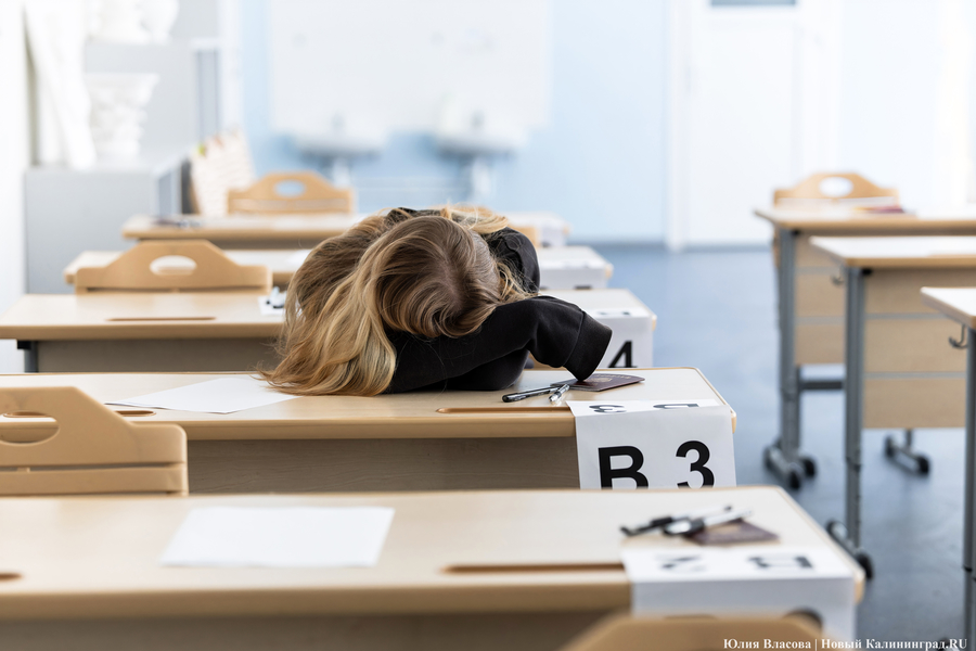 В минобре назвали предметы, с которыми «не возникнет сложностей» при поступлении