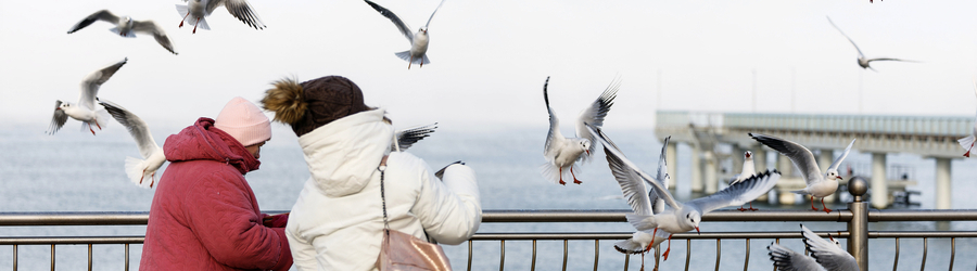 Вечерний@Калининград: потеря туристов, умеренный рост бензина и вакансии