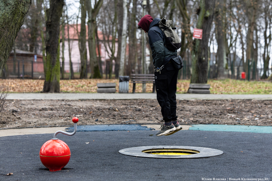 Горвласти рассказали о планах на присоединённую к парку имени Гагарина «зелёнку»