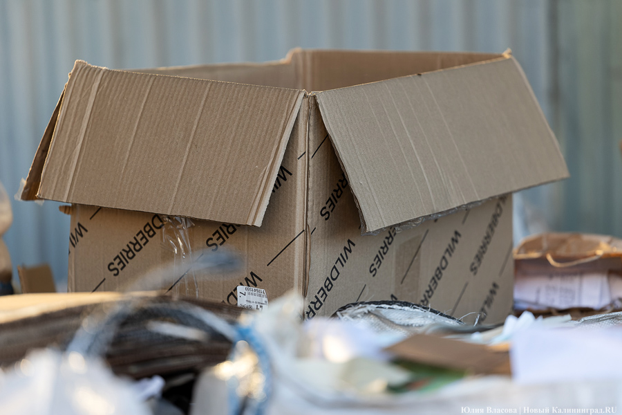 В Калининграде курьер стал самой высокооплачиваемой вакансией без опыта работы