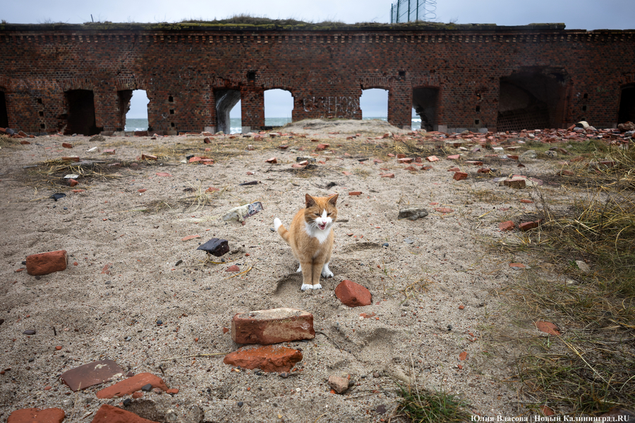 Новый собственник форта Западного намерен открыть в нём гостиницу