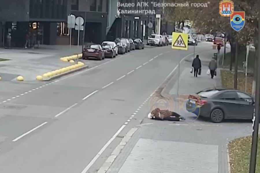 происшествия калининград на клопс сегодня видео на невского улице. сбили женщину с коляской на московском проспекте. пешеход пешеходный переход. в калининграде сбили девочку. сбили женщину с коляской на московском проспекте.