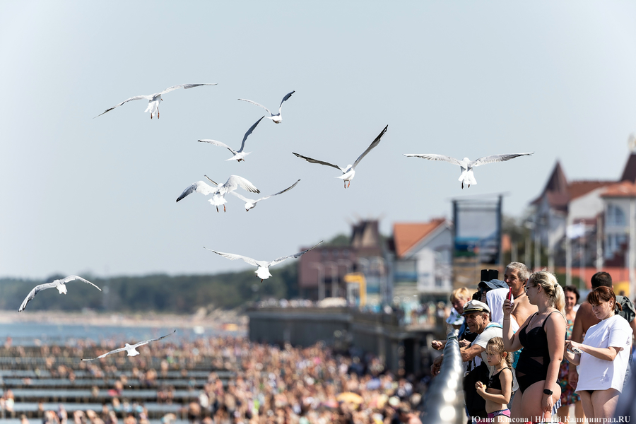 Погода в Калининградской области 22 июля