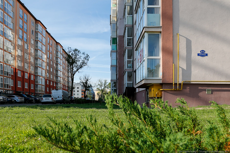 В Калининградской области выросла площадь квартир в новостройках