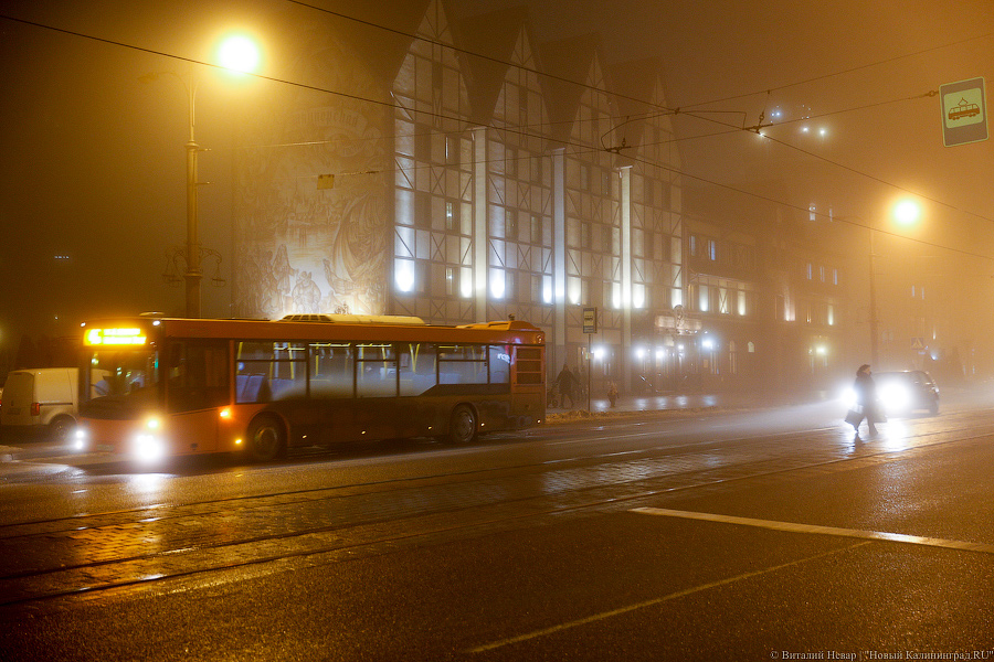 В Калининградской области ночью температура опустилась до +1 ℃