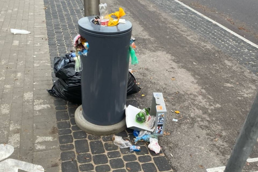 Дятлова о мусоре на Майской: «Жители не должны знать, принята улица или нет»