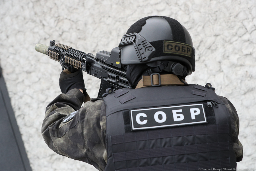 Госдума приняла закон о запрете сотрудникам Росгвардии публиковать информацию о себе в соцсетях