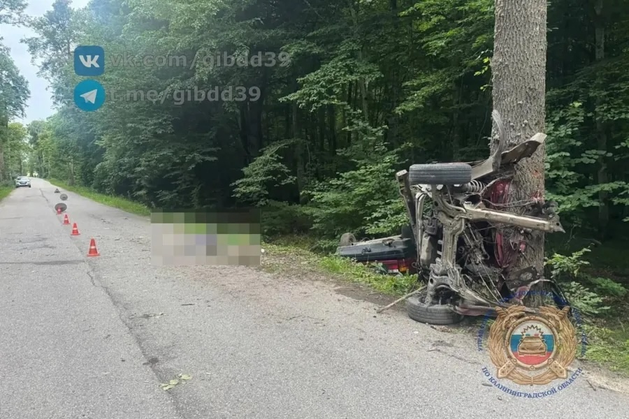 Суд отправил в СИЗО 21-летнего водителя, подозреваемого в смертельном ДТП