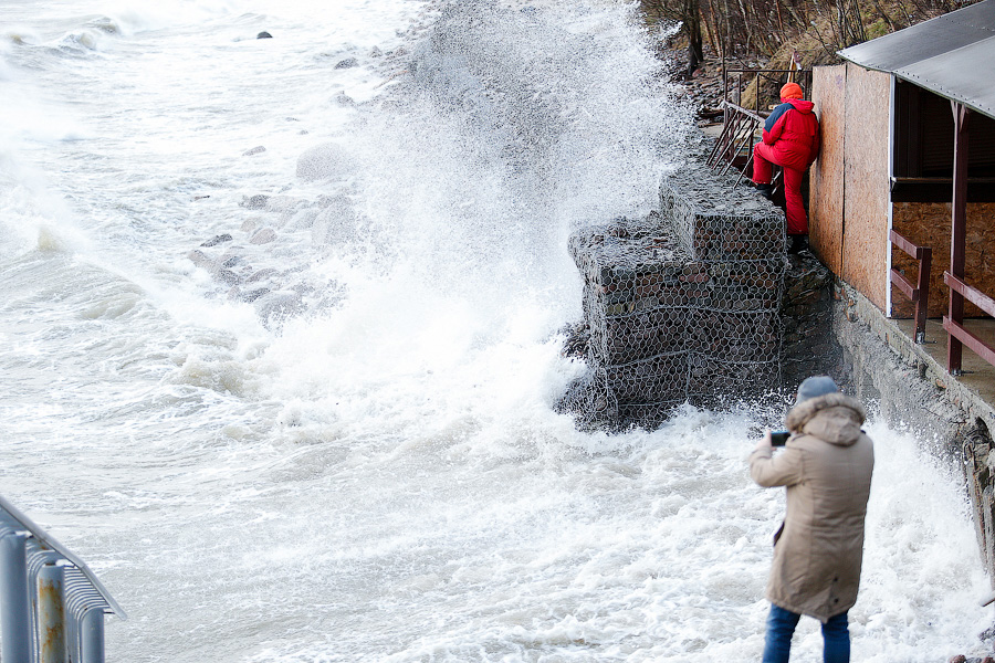 В Калининградской области ожидается шторм с порывами ветра до 24 м/с