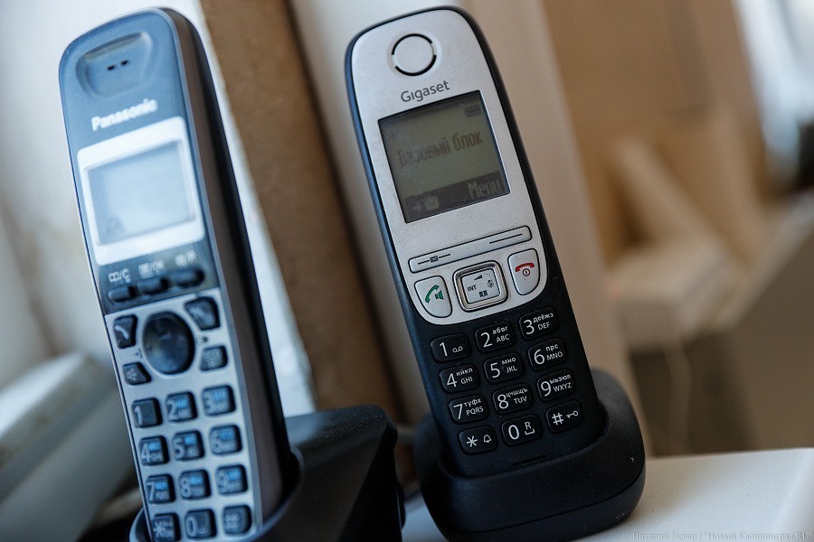 Полиция опубликовала номера, с которых калининградцам звонят мошенники