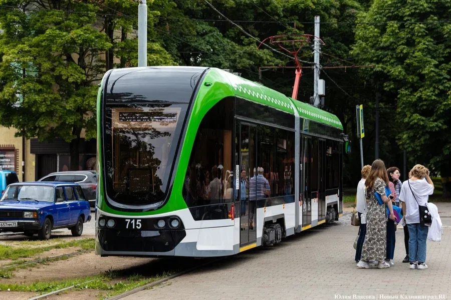 Транспорт для бедных, заторы и время: эксперт о транспортных ошибках Калининграда