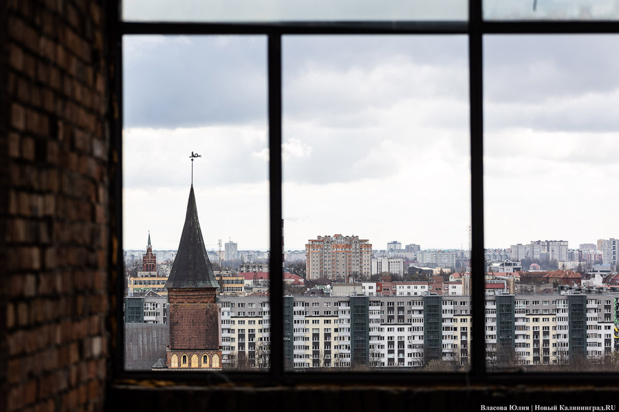 Горвласти предлагают калининградцам выбрать территорию для благоустройства