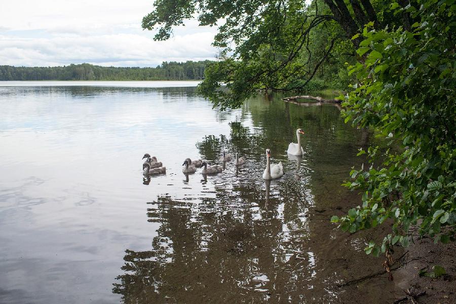 Виштынецкий экомузей временно приостановил свою работу