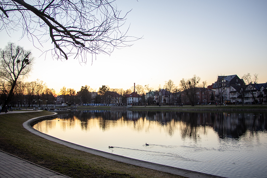 В Калининграде вновь ищут подрядчика для расчистки Верхнего озера