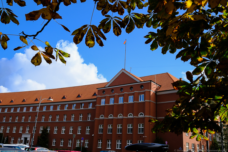 Правительство области о возобновлении железнодорожного транзита: конкретных дат нет