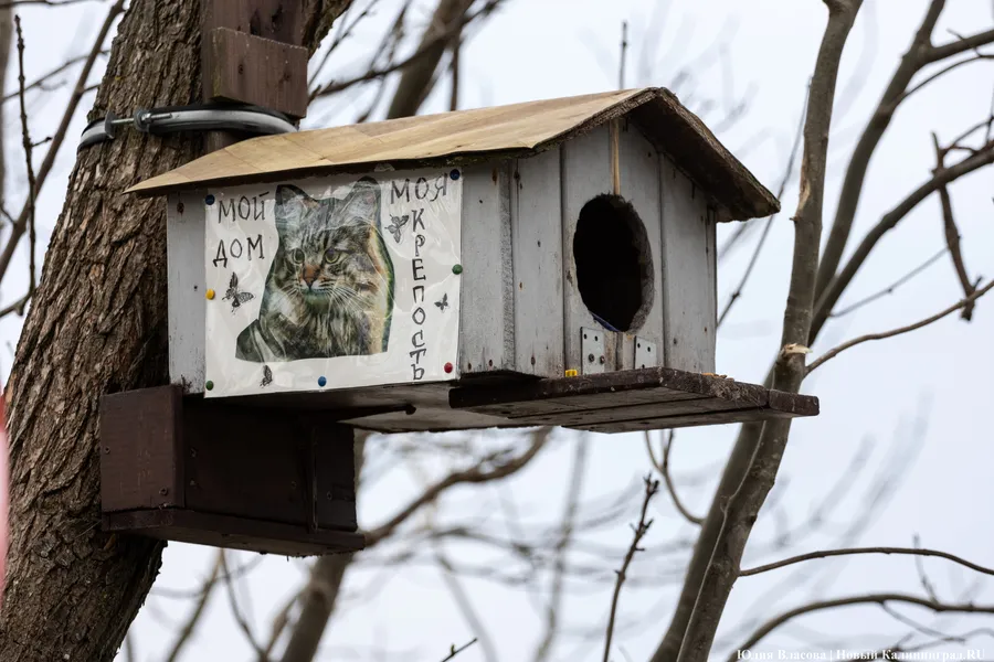 Погода в Калининградской области 20 октября