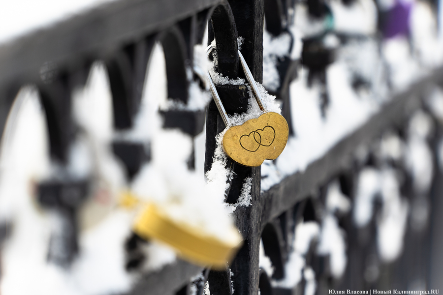 28 пар заключили брак в Калининграде 26.02.2026