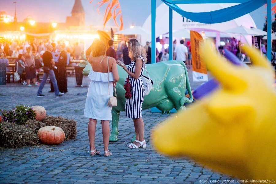 На пикнике Street Food Weekend покажут короткометражки российских режиссеров