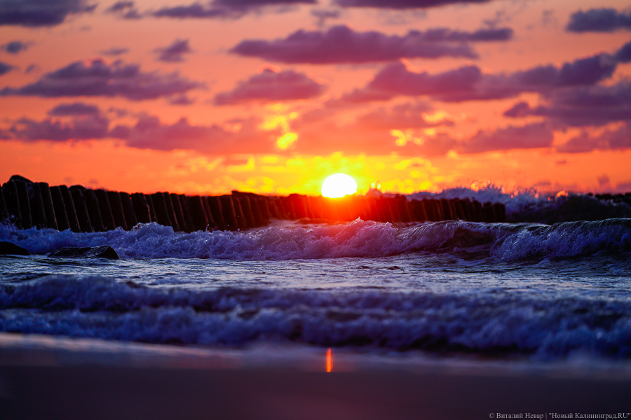 Власти пообещали обсудить «механизм» увеличения летом автобусных рейсов к морю