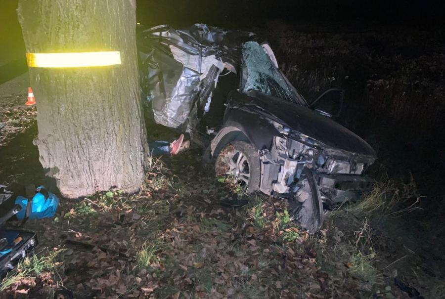 Под Черняховском в дерево врезался «Фольксваген», погиб пассажир (фото)