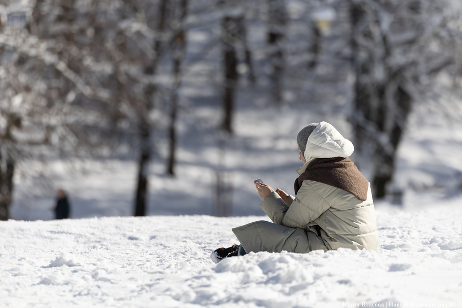 В Калининградской области зафиксировали самый высокий снежный покров за 15 лет