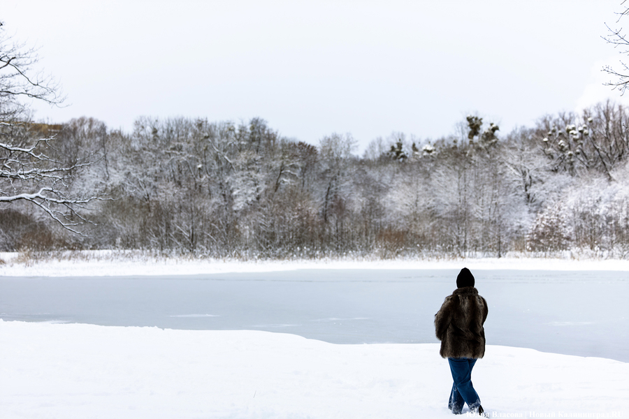 Возможно похолодание до −20°С: прогноз погоды в Калининграде на выходные и далее