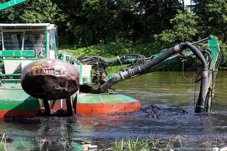 Минприроды: Калининградская область пока не готова перерабатывать ил