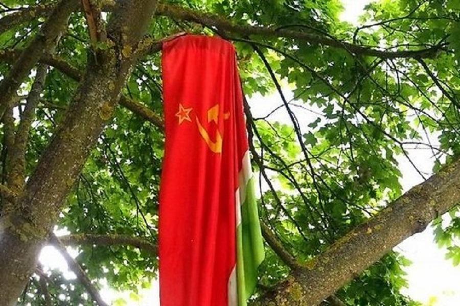 В Литве спасатели сняли заброшенный на дерево советский флаг (фото)