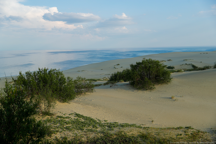 Анатолий Калина о новогодних туристах: это был, можно сказать, коллапс