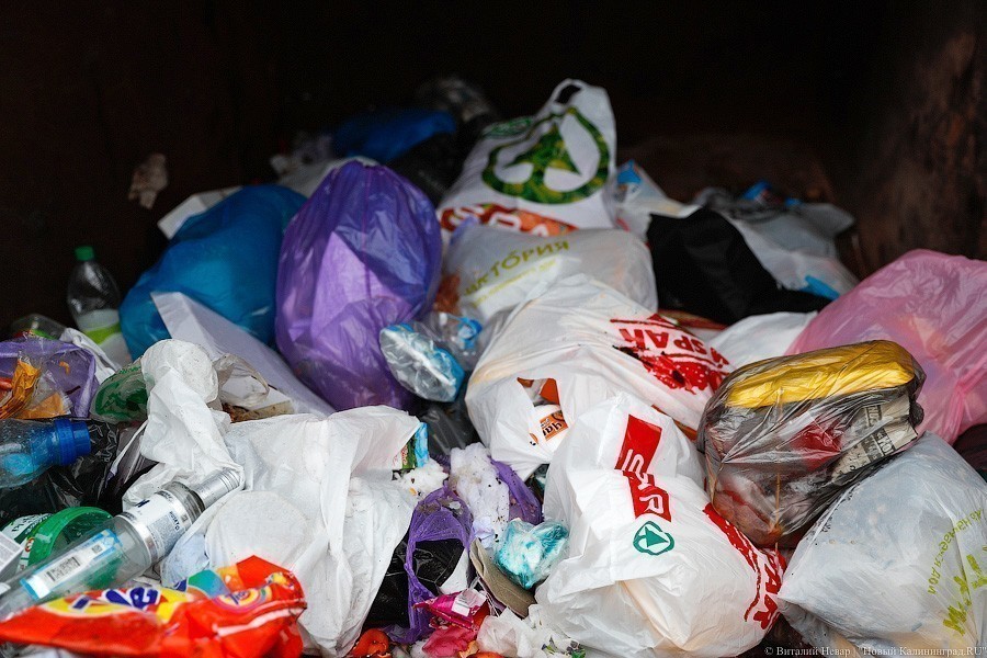 Зеленоградская администрация: от нас требуют оплатить вывоз уже оплаченного мусора 