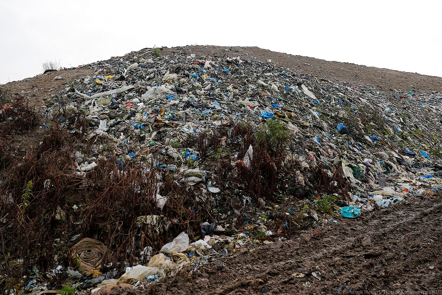 В России подсчитали, сколько тонн мусора хранится на полигонах ТБО