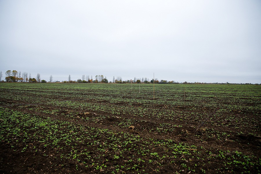 С 1 февраля любой россиянин может претендовать на «дальневосточный гектар»