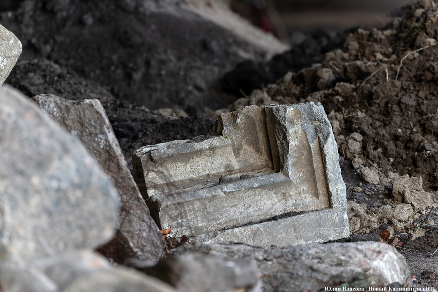 Несколько баков с тарелками: под Калининградом обнаружен новый посудный клад (фото)