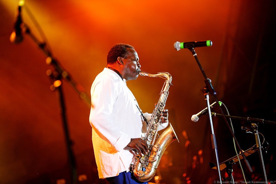 Дэвид Мюррей: опыта времен рабства у европейцев нет, но и они находят свой блюз