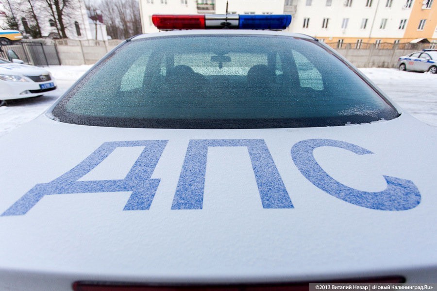 Глава ГИБДД: вдоль дорог не должно расти ничего выше 15 сантиметров