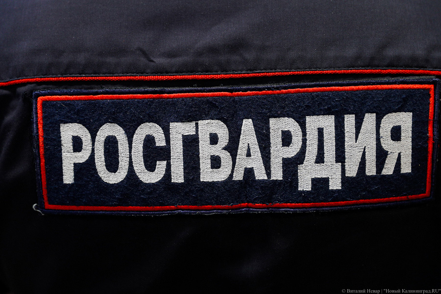 Росгвардейцы спасли ребенка, тонувшего в озере Макс Ашманн парка