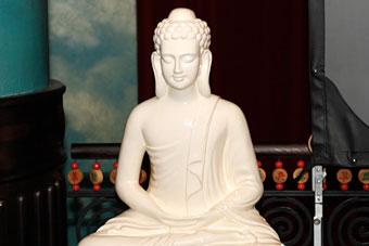 Zucchero и Jazzkantine выступят на фестивале "Дон Ченто Джаз-2011"